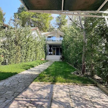 Villa Leyland Golem  Kültér fotó